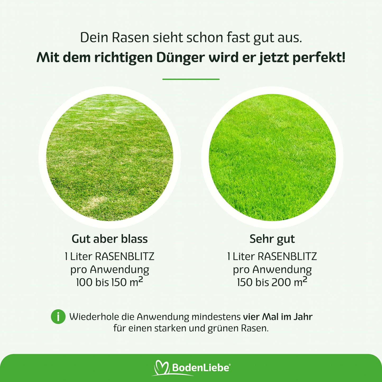 RASENBLITZ™ - RASENRETTER SET