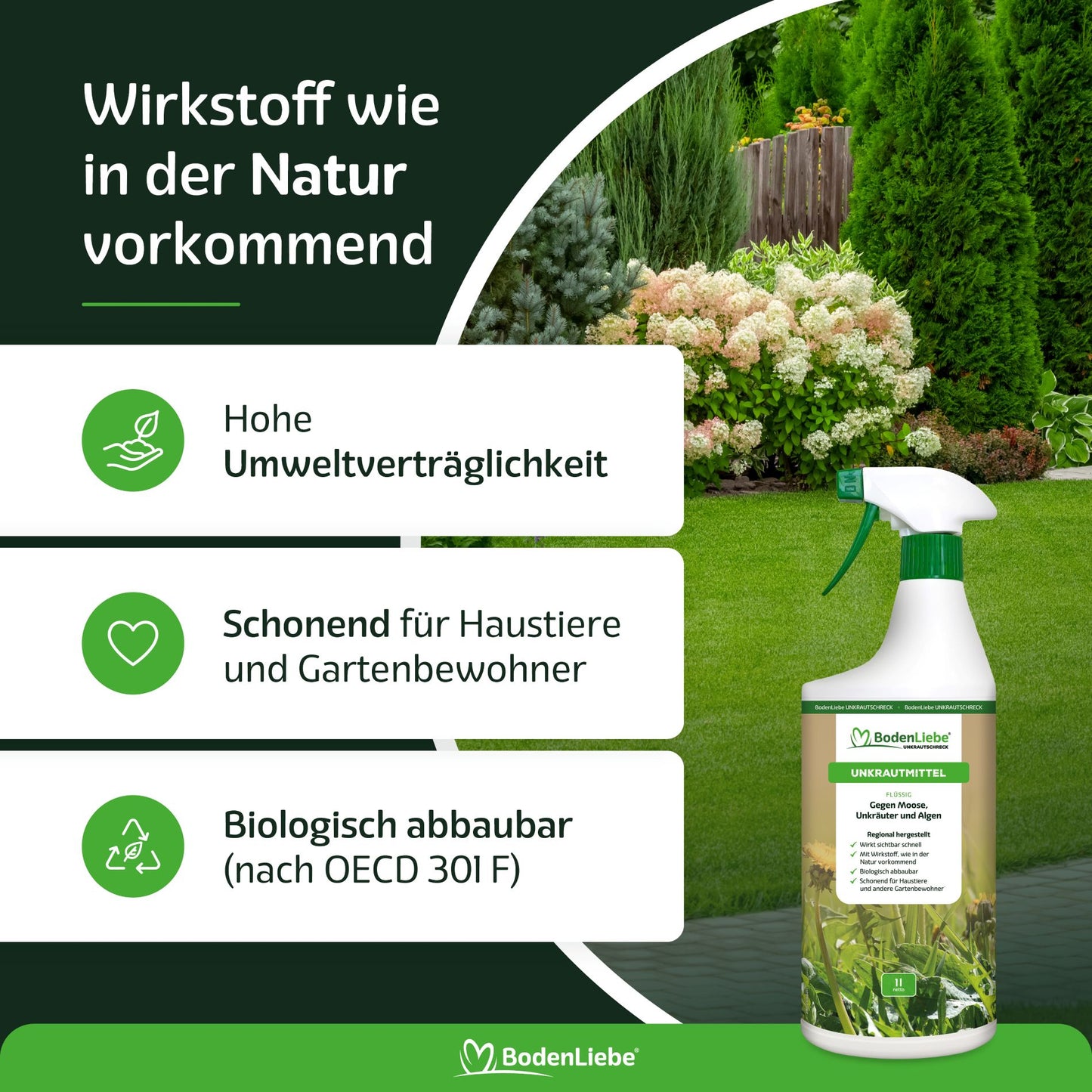 BLACK WEEK Starter-Paket, S