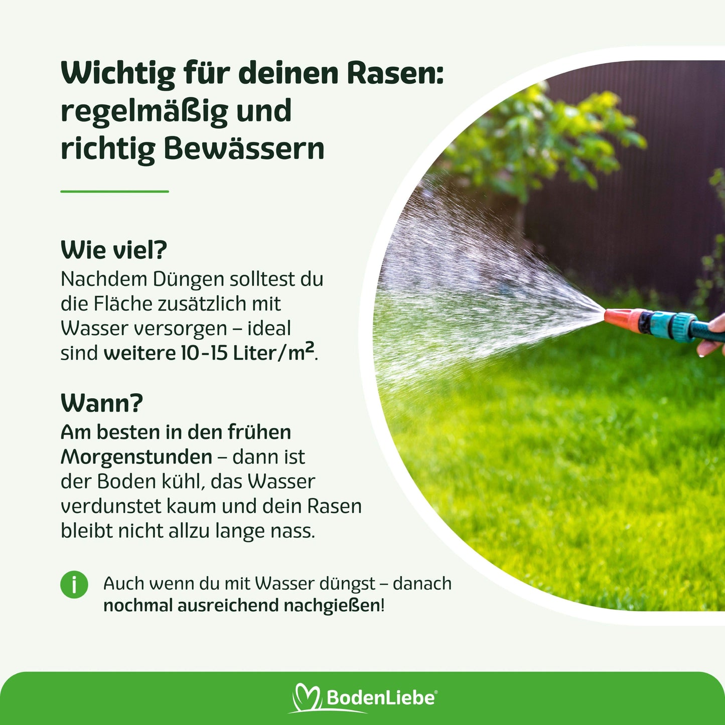 RASENBLITZ™ - NACHFÜLLPACK