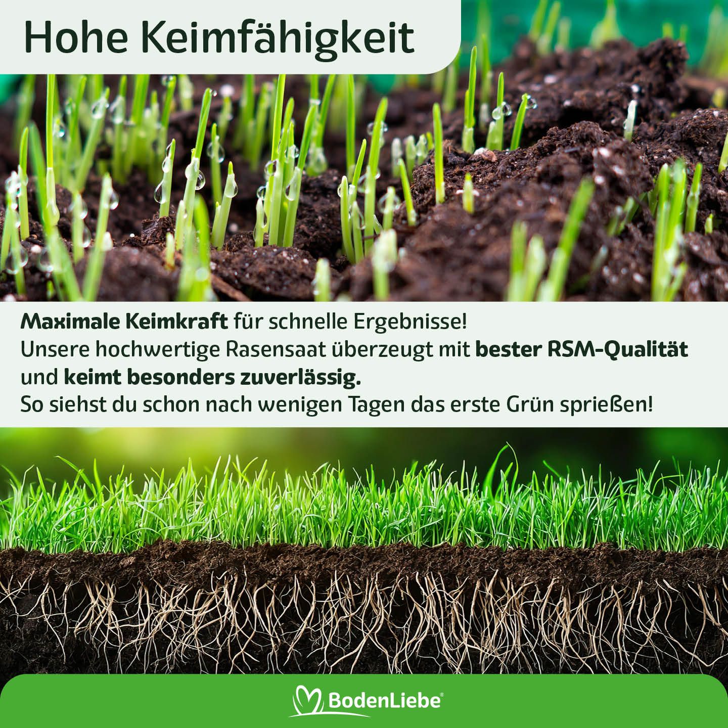 RASENBLITZ™ - NACHSAAT 3x 500g Black Week Aktion