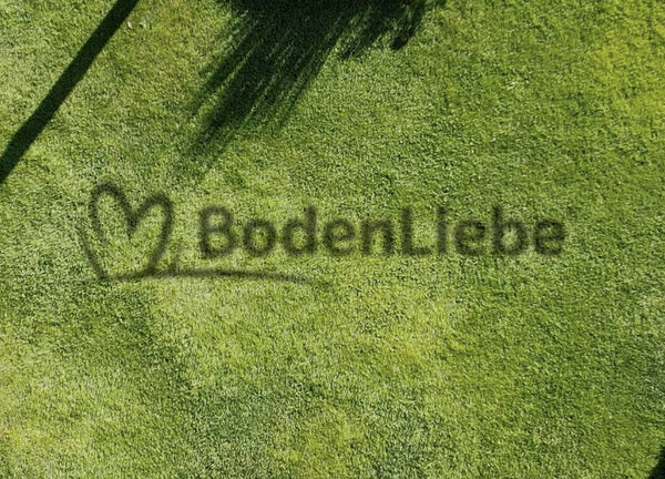 Schwach wachsender Rasen trotz Düngung