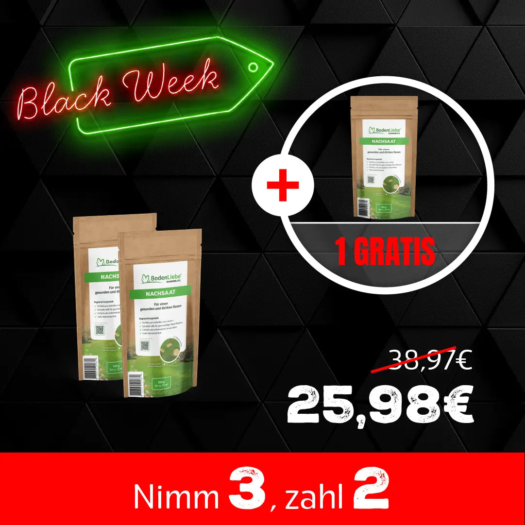 RASENBLITZ™ - NACHSAAT 3x 500g Black Week Aktion
