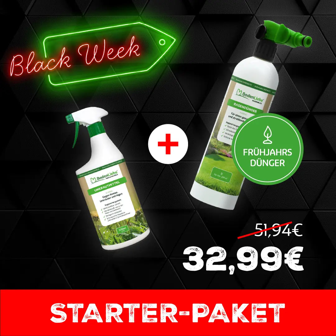 Starter-Paket, S