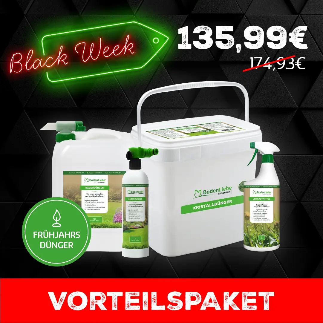 Vorteils-Paket, XL