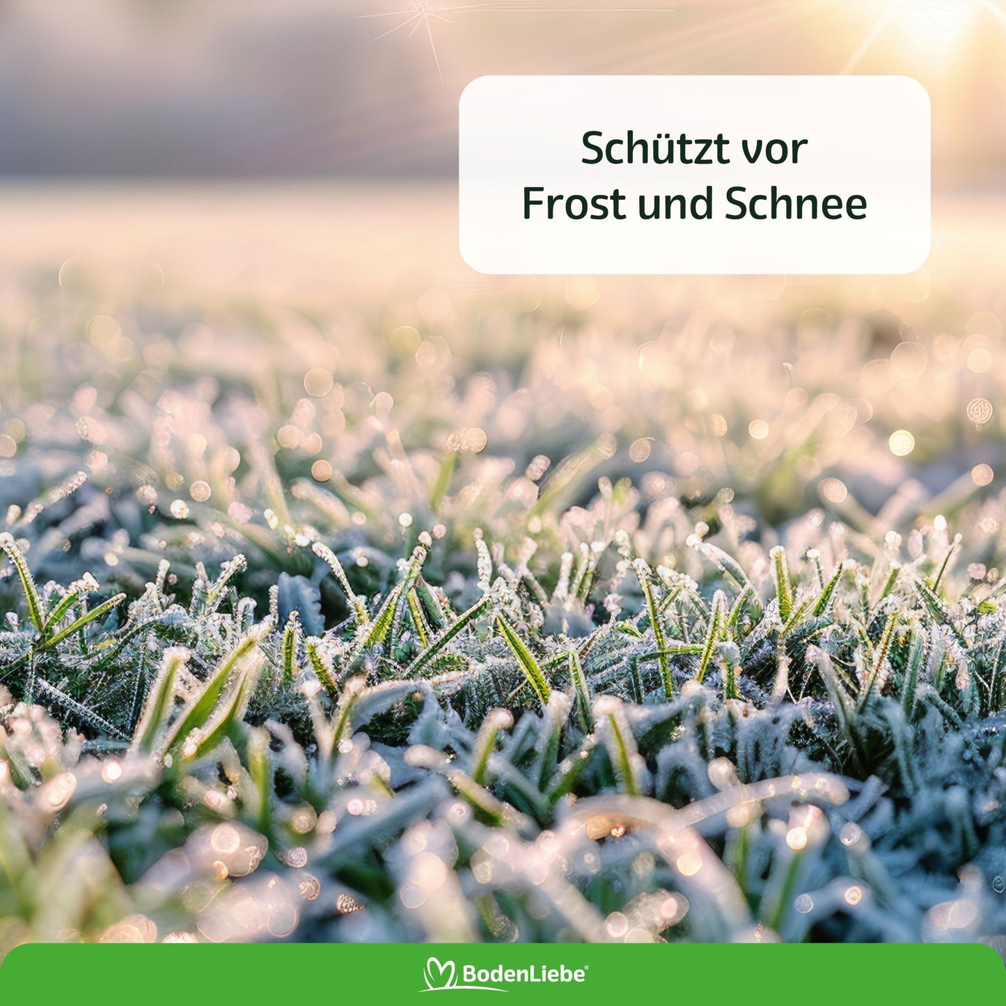 RASENBLITZ KRISTALLDÜNGER - ideal für den Herbst