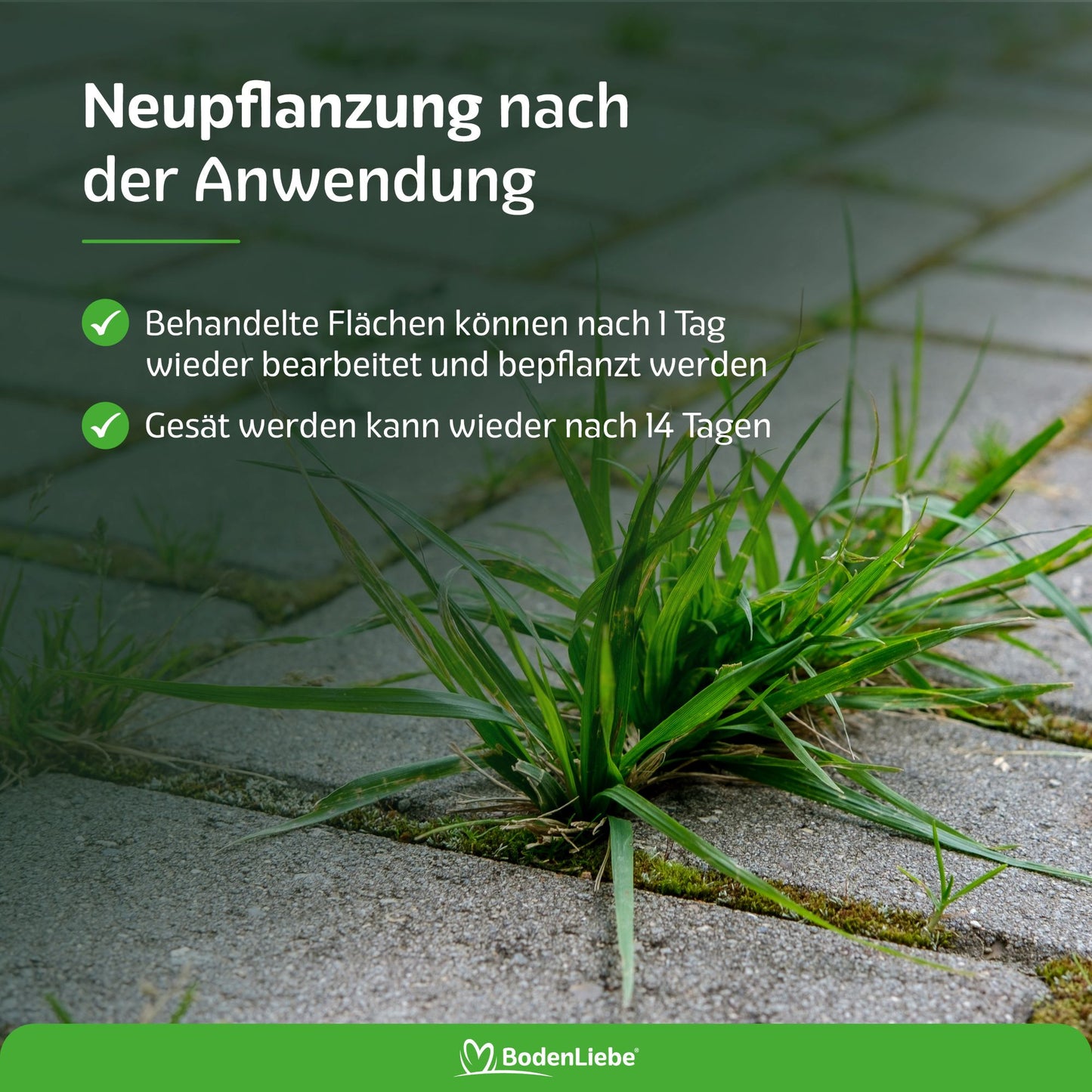 UNKRAUTSCHRECK™ - Unkrautmittel